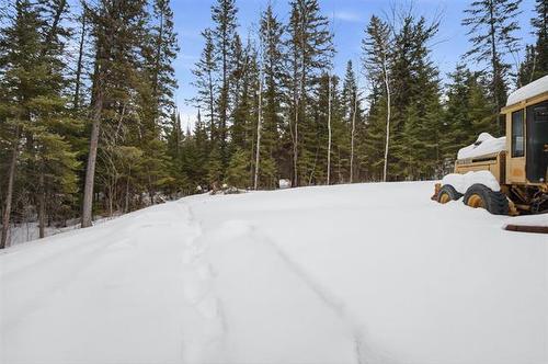 82 Cat Tail Dr, Alexander Rm, MB 