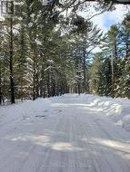 0 CARDWELL LAKE ROAD Huntsville (Stisted), ON P0B 1M0