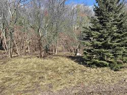 Lot Munroe Avenue  New Glasgow, NS B2H 2E4