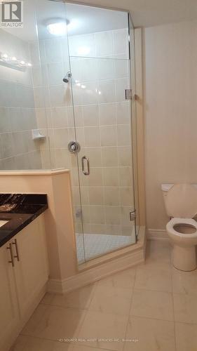 14 Boundary Creek Path, Brampton, ON - Indoor Photo Showing Bathroom