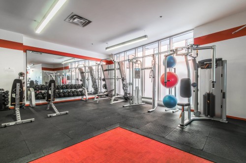 Salle d'exercice - 302-297 Rue Du Shannon, Montréal (Le Sud-Ouest), QC - Indoor Photo Showing Gym Room