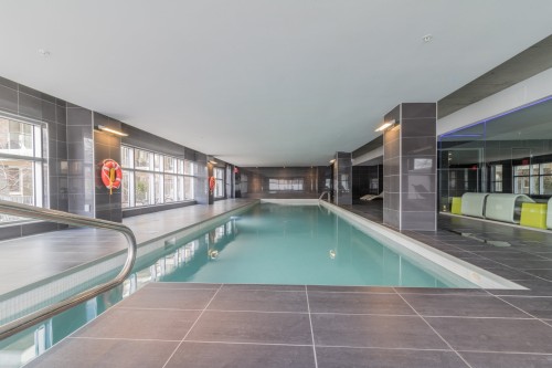 Piscine - 302-297 Rue Du Shannon, Montréal (Le Sud-Ouest), QC - Indoor Photo Showing Other Room With In Ground Pool