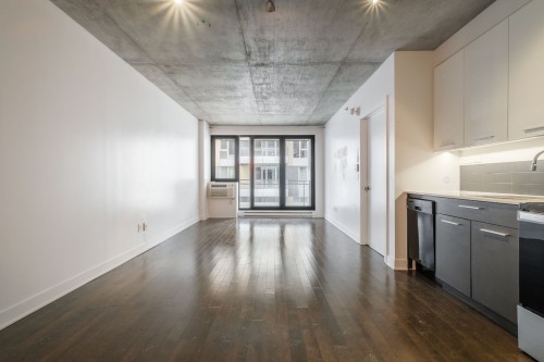 Vue d'ensemble - 302-297 Rue Du Shannon, Montréal (Le Sud-Ouest), QC - Indoor