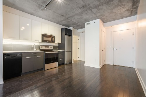 Vue d'ensemble - 302-297 Rue Du Shannon, Montréal (Le Sud-Ouest), QC - Indoor Photo Showing Kitchen