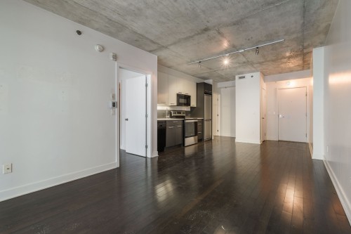 Vue d'ensemble - 302-297 Rue Du Shannon, Montréal (Le Sud-Ouest), QC - Indoor