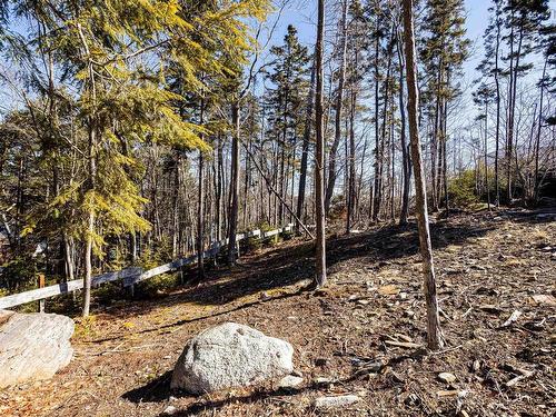 61 Hearthwood Crescent, Halifax, NS 