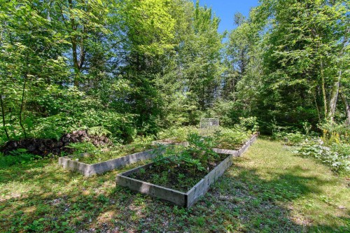 Jardin - 78 Ch. Old Bridge, Otter Lake, QC - Outdoor