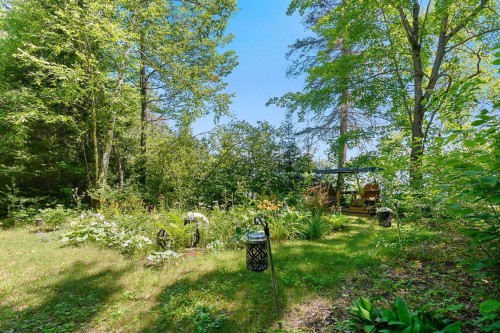 Jardin - 78 Ch. Old Bridge, Otter Lake, QC - Outdoor