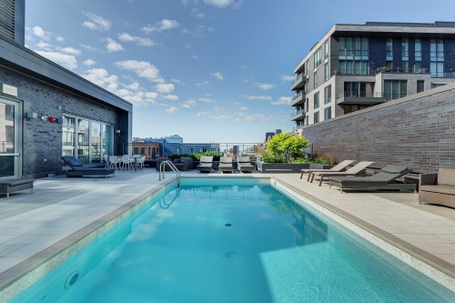 Piscine - 107-901 Rue De La Commune E., Montréal (Ville-Marie), QC - Outdoor With In Ground Pool