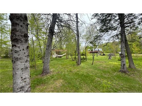16 Modeste, Trois Ruisseaux, NB 