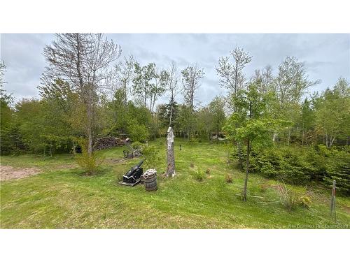 16 Modeste, Trois Ruisseaux, NB 