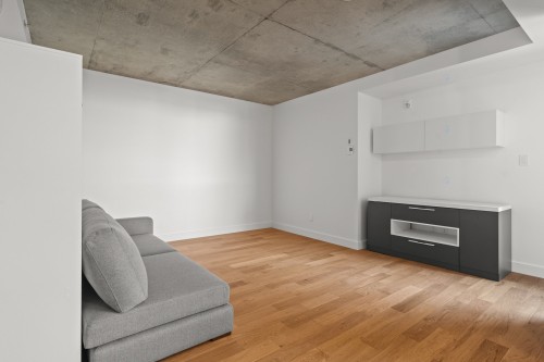 Salon - 521-75 Rue De Castelnau O., Montréal (Villeray/Saint-Michel/Parc-Extension), QC - Indoor