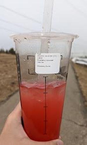 Edmonton, Alberta 
