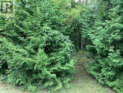 0 PINECREST ROAD  Georgina (Pefferlaw), ON L0E 1N0