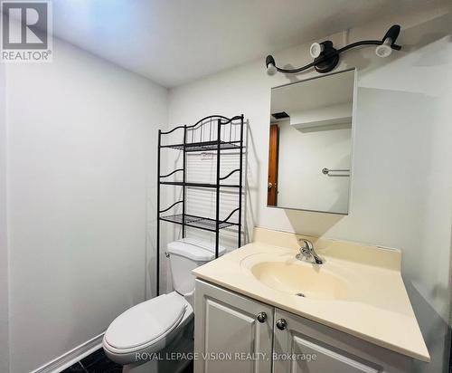 Basement - 263 Wright Crescent, Ajax, ON - Indoor Photo Showing Bathroom