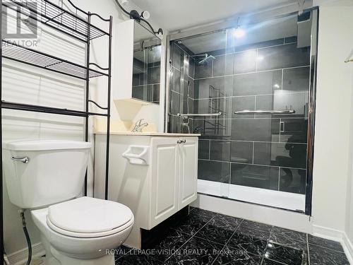 Basement - 263 Wright Crescent, Ajax, ON - Indoor Photo Showing Bathroom