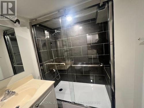 Basement - 263 Wright Crescent, Ajax, ON - Indoor Photo Showing Bathroom