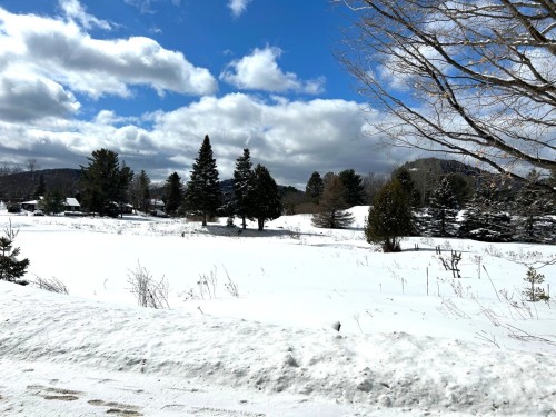 Vue d'ensemble - 1515 Rue De La Vallée, Sainte-Adèle, QC - Outdoor With View