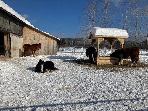 Grange - 930 Ch. St-Joseph, Trois-Rives, QC 