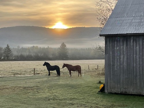 Grange - 930 Ch. St-Joseph, Trois-Rives, QC 