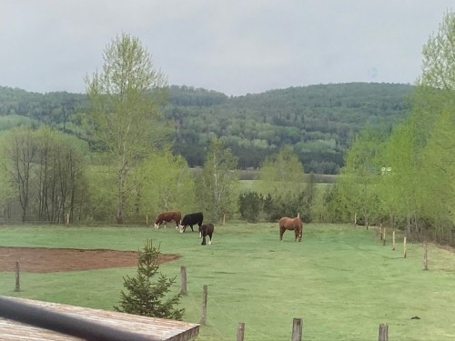 Terre/Terrain - 930 Ch. St-Joseph, Trois-Rives, QC 