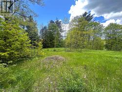 22A LOCK STREET Seguin, ON P0C 1J0