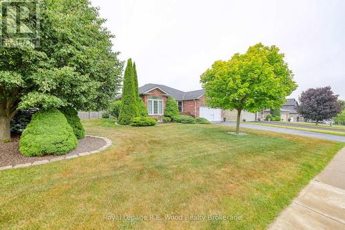 Executive corner lot and mature landscaping - 36 Morning Glory Drive, Tillsonburg, ON - Outdoor