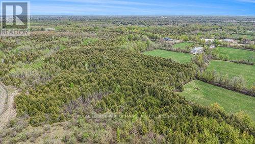 7 Mcdonell Crescent, Ottawa, ON 