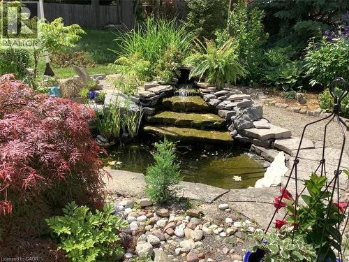 Large yard - 54 Glenwood Drive, Kitchener, ON - Outdoor