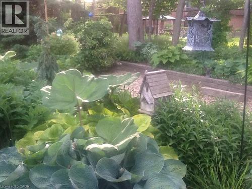 The walkway leads to a high quality durable shed with loads of storage room. - 54 Glenwood Drive, Kitchener, ON - Outdoor