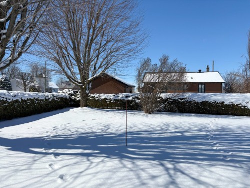 Cour - 485 Rue Labonté, Acton Vale, QC - Outdoor