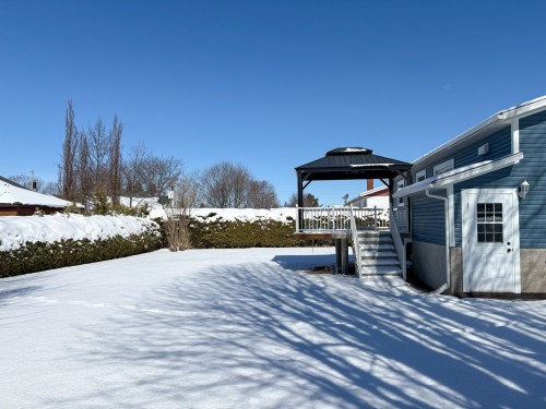 Cour - 485 Rue Labonté, Acton Vale, QC - Outdoor