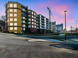 208 5221 Nora Bernard Street  Halifax, NS B3K 0B6