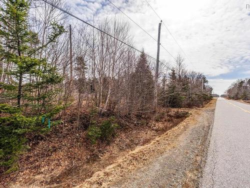 Lot Second Division Road, Concession, NS 