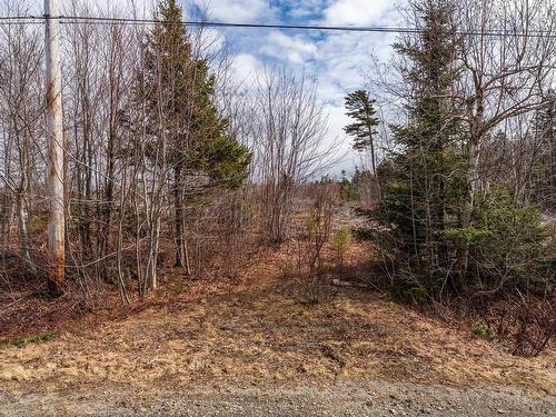 Lot Second Division Road, Concession, NS 