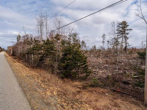 Lot Second Division Road, Concession, NS 