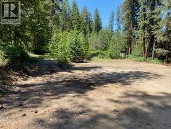 995 395 Highway Christina Lake, BC V0H 1E0