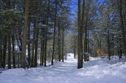 561 Rue Pelletier  Saint-Colomban, QC J5K 2M9