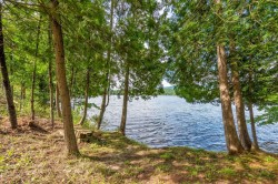 Waterfront - 