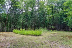 Lot - 