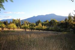 Lot 4 Alexander Road  Nakusp, BC V0G 1R1