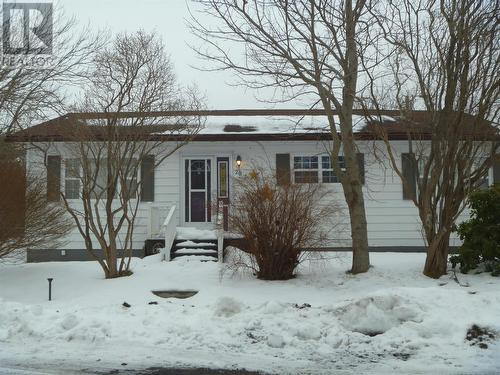 20 Downing Street  Harbour Grace, NL A0A 2M0
