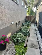 Side of house in summer - 