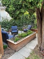 Get your salad fixin's in your own backyard! - 