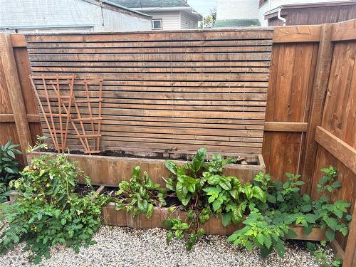 701 Sherburn Street, Winnipeg, MB - Outdoor