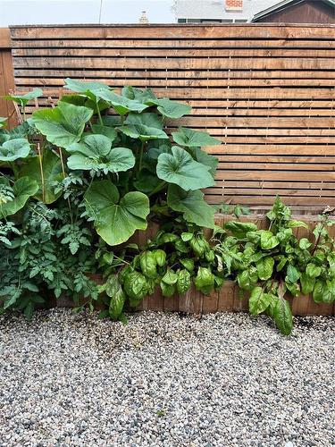 701 Sherburn Street, Winnipeg, MB - Outdoor