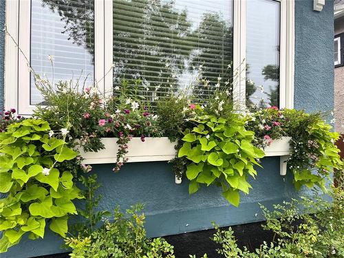 701 Sherburn Street, Winnipeg, MB - Outdoor