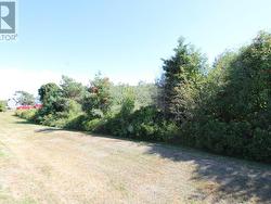 Route 11  Union Corner, PE C0B 2E0