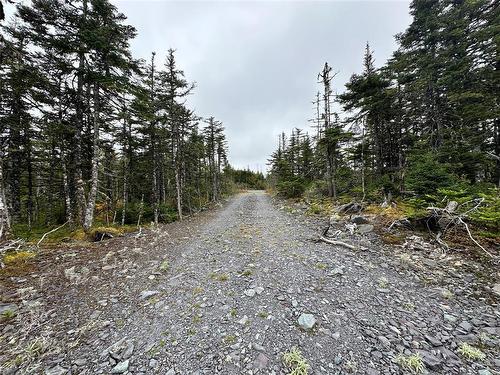 65B Connors Cove Road, Brigus Junction, NL 
