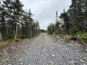65B Connors Cove Road, Brigus Junction, NL 